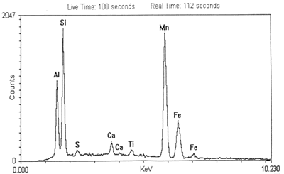 AZojomo - The "AZo Journal of Materials Online" EDX analysis of the silicate inclusion showing its chemical composition.