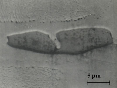 AZojomo - The "AZo Journal of Materials Online" Scanning micrograph of sulfide inclusion found in workpieces W1 and W2.