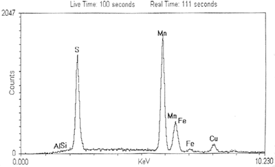 AZojomo - The "AZo Journal of Materials Online" EDX analysis of the sulfide inclusion showing its chemical composition.