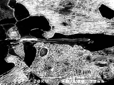 AZojomo - The "AZo Journal of Materials Online" Scanning micrograph of sulfide inclusions detected in workpiece W3.