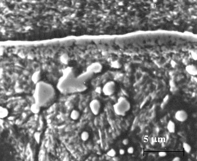 AZojomo - The "AZo Journal of Materials Online" Scanning micrograph of a cross section of a PVD-TiN coated insert showing a layer in the crater wear.