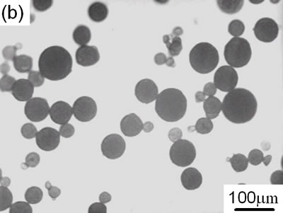 AZoJoMo - AZoM Journal of Materials Online - SEM micrographs for granules of yttria stabilized zirconia.
