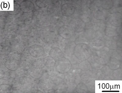 AZoJoMo - AZoM Journal of Materials Online - IR-LIM. Micrographs of green body made with die pressing at 10MPa.