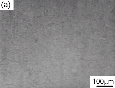 AZoJoMo - AZoM Journal of Materials Online - IR-LIM images of the internal microstructure of the compact pressured at 30MPa.