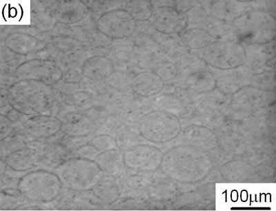 AZoJoMo - AZoM Journal of Materials Online - IR-LIM images of the internal microstructure of the compact pressured at 100MPa.