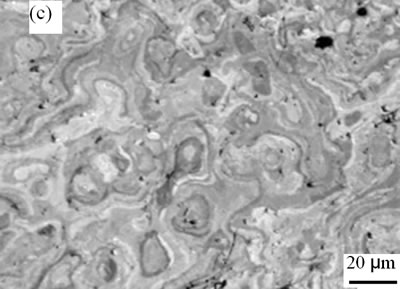 AZoJoMo – AZoM Journal of Materials Online - The surface morphologies of plasma sprayed TiO2 coatings deposited under spraying distance 120mm and different spraying powers 43.8 kW.