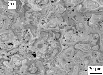 AZoJoMo – AZoM Journal of Materials Online - The surface morphologies of plasma sprayed TiO2 coatings deposited under spraying power 42.6 kW and different spraying distances 100 mm.