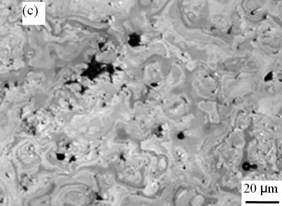AZoJoMo – AZoM Journal of Materials Online - The surface morphologies of plasma sprayed TiO2 coatings deposited under spraying power 42.6 kW and different spraying distances 140 mm.