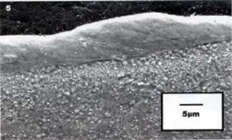 AZoM - Metals, Ceramics, Polymer and Composites : Micrograph of the steel roll surface after texturing using Electrical Discharge Machining and Surface Alloying.