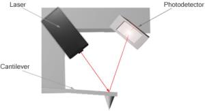 AZoM - The A to Z of Materials - The light lever sensor uses a laser beam to monitor the deflection of the cantilever. When the cantilever moves up and down, the light beam moves across the surface of the photo-detector.