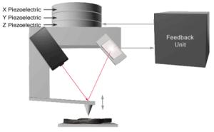AZoM - The A to Z of Materials - This figure illustrates the primary components of the light lever atomic force microscope. The X and Y piezoceramics are used to scan the probe over the surface.
