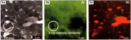 AZoM - metals, ceramics, polymers and composites : Secondary electron image (a) and x-ray maps (b and c) of a nickel alumina composite.