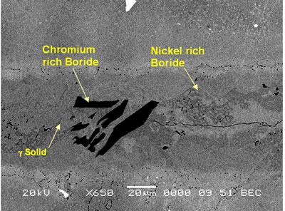 AZoJoMo – AZoM Journal of Materials Online : SEM secondary electron micrograph of centerline eutectic constituent