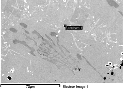 AZoJoMo – AZoM Journal of Materials Online : SEM EDS spectrum from MC carbides in brazed joint