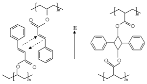 AZoJoMO – AZoM Journal of Materials Online - The photocrosslinking between two PVCi molecules under the irradiation of LPUV laser light. The vertical arrow E represents the polarization direction or polarization vector of incident electric field of linearly polarized UV light.