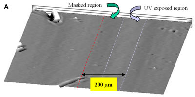 AZoJoMO – AZoM Journal of Materials Online - Pattern mapping of photoinduced PVCi film revealed by the surface profiler. (a) The periodical striped patterns (100 mm UV exposed and masked regions) of PVCi film in the horizontal direction;