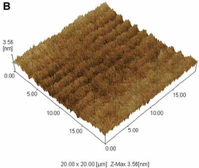 AZoJoMO – AZoM Journal of Materials Online - 20 x 20 mm2 dynamic mode AFM images of the surface of PVCi film. 3-D display of the AFM data.