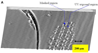 AZoJoMO – AZoM Journal of Materials Online - 3-D surface height pattern mapping of the LC multilayers formed by evaporation on photoinduced PVCi film revealed by the surface profiler for 2 hours 5CB evaporation. Vertical height information: » 0.5 nm for UV exposed region and 1.5 – 4.5 nm for the masked region. A burrow in the left side of the pattern mapping is a mechanical damage of the film. (a) The periodical striped patterns (100 mm UV exposed and masked regions) of LC multilayers in the horizontal direction;