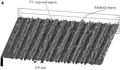 AZoJoMO – AZoM Journal of Materials Online - 3-D surface height pattern mapping of the LC multilayers formed by evaporation on photoinduced PVCi film revealed by the surface profiler for 3 hours 5CB evaporation. Vertical height information: 1.5 – 3 nm for UV exposed region and 4.5 – 8 nm for the masked region. (a) The periodical striped patterns (100 mm UV exposed and masked regions) of LC multilayers in the horizontal direction;