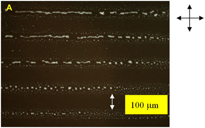 AZoJoMO – AZoM Journal of Materials Online - Polarized microphotograph of the surface alignment of the evaporated LC multilayers on photoinduced PVCi film for 3 hours 5CB evaporation. The substrate is between crossed polarizers.