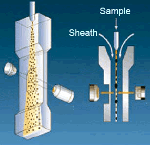 Illustration of the hydrodynamic focusing system employed by the FPIA-2100.