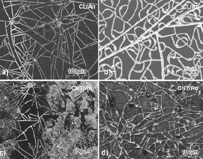 AZoJomo - The AZO Journal of Materials Online - Microstructure of a, c) anatase, b, d) rutile thin films on a, b) CL, c, d) CNT after one time dipping