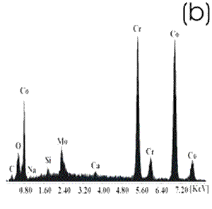 AZojomo - The "AZo Journal of Materials Online" Chemically-treated Co alloy sample. (b) EDX spectrum.