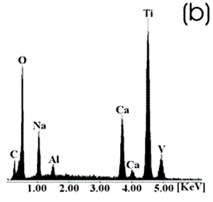 AZojomo - The "AZo Journal of Materials Online" Ti alloy sample with chemical and heat treatments. (b) EDX spectrum.