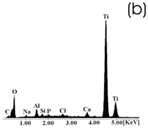 AZojomo - The "AZo Journal of Materials Online" Ti alloy sample with chemical treatment, heat treatment and after 21 days of immersion in 0.85SBF. EDX spectrum.