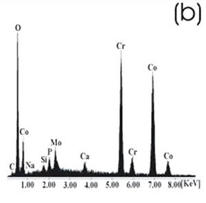 AZojomo - The "AZo Journal of Materials Online" Co alloy sample with chemical treatment, heat treatment and after 21 days of immersion in 0.85SBF. (b) EDX spectrum.