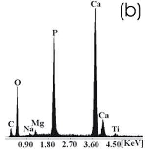 AZojomo - The "AZo Journal of Materials Online" Ti alloy sample with chemical treatment, heat treatment and after 21 days of immersion in 1.3SBF. (b) EDX spectrum.