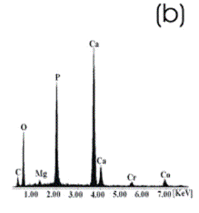 AZojomo - The "AZo Journal of Materials Online" Co alloy sample with chemical treatment, heat treatment and after 21 days of immersion in 1.3SBF. (b) EDX spectrum.