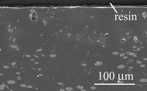 AZoJomo - The AZO Journal of Materials Online - Cross-section of Ni/MgO oxidized at 1300ºC for 1 d in air