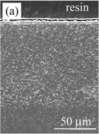 AZoJomo - The AZO Journal of Materials Online - Cross-section of nano-Ni/Al2O3 oxidized at 1300ºC for 1 d in air. (a) low magnification and (b) high magnification near the surface.