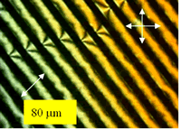 AZoJoMO - Journal of Materials Online - Polarized microphotograph of a photoaligned LC cell at 45° between crossed polarizers
