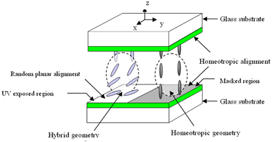 AZoJoMO - Journal of Materials Online - The photoaligned LC cell having alternating exposed and unexposed striped patterns.