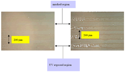 AZoJoMO - Journal of Materials Online - Polarized microphotographs of the evaporated surface of unpolarized UV–exposed PI–VA alignment film for (a) 2 hours (b) 3 hours evaporation, under crossed polarizers.