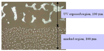 AZoJoMO - Journal of Materials Online- Magnification of Figure 11(b) under crossed polarizers