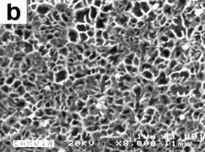 OM(a) and SEM-backscattered electrons (b) micrographs showing the morphology of the ribbon melt spun at 30 ms−1: (a) at the transverse cross-section and (b) at the chilling surface.